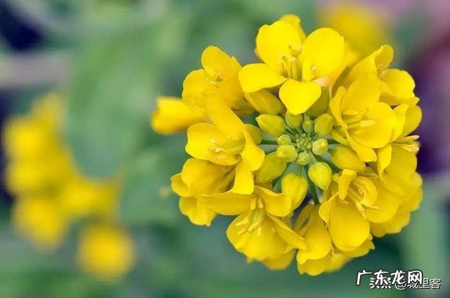 结婚后老婆管钱,老公藏私房钱给自己的父母,被老婆知道了,该怎么办?