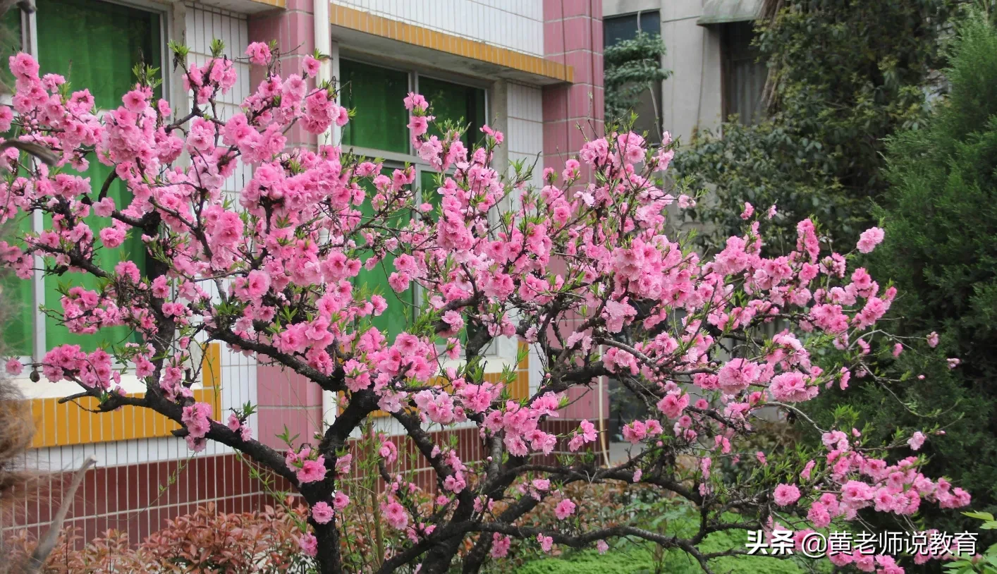 一般好的作文怎么摘抄比较好?