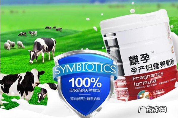 适合孕妇喝的无糖奶粉 无糖孕妇奶粉有哪些