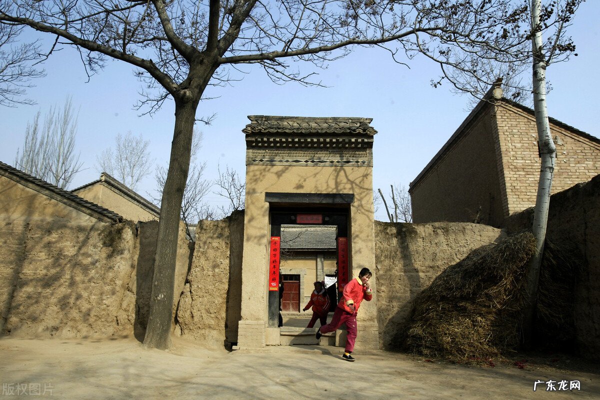 农村俗语:“门朝南子不寒,树通轩人丁散”啥意思?老俗话要牢记 房子南边有树好不好