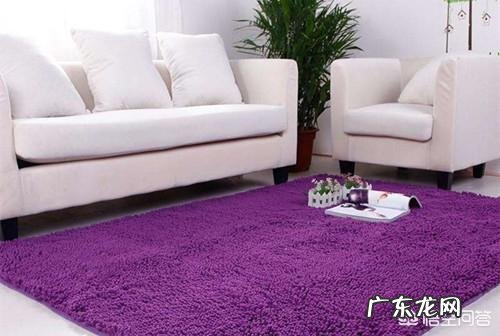 老年狗狗得了关节炎,有好的治疗偏方吗?