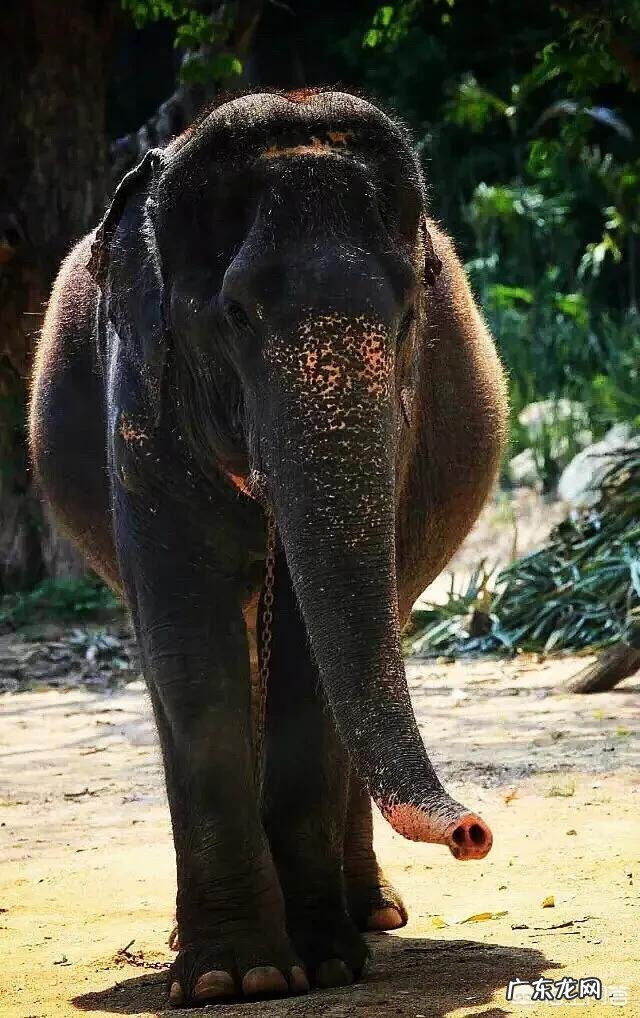 高考结束了,想去放松一下,你觉得去哪里最合适?