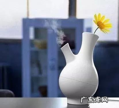 家用加湿器有什么好处和坏处?