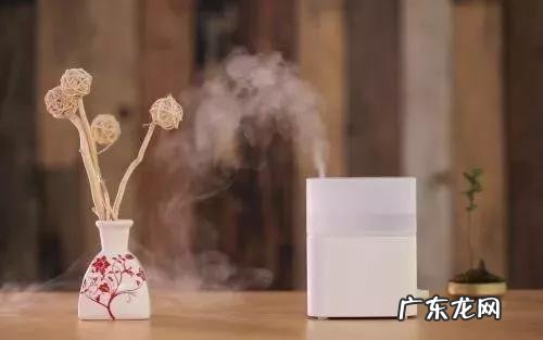 家用加湿器有什么好处和坏处?