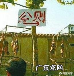 小学老师给家长安排家庭作业,让带孩子到路边广告牌子上找错别字并拍照合影,这样合理吗?