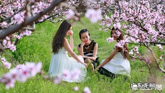 你最喜欢的季节是什么?