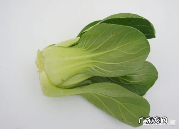 身体缺钙吃什么食物好?