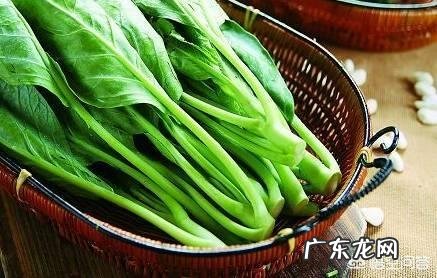 身体缺钙吃什么食物好?