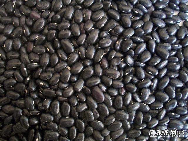 身体缺钙吃什么食物好?