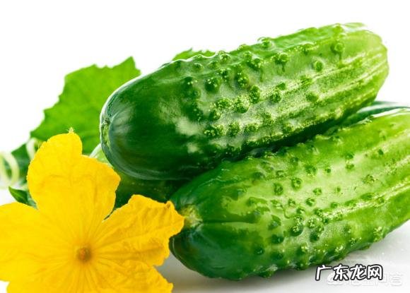 吃哪些果蔬能减肥?