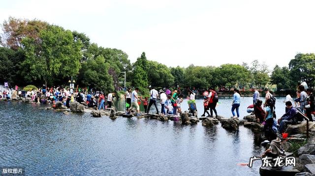 你觉得假期集中旅游有哪些弊病？