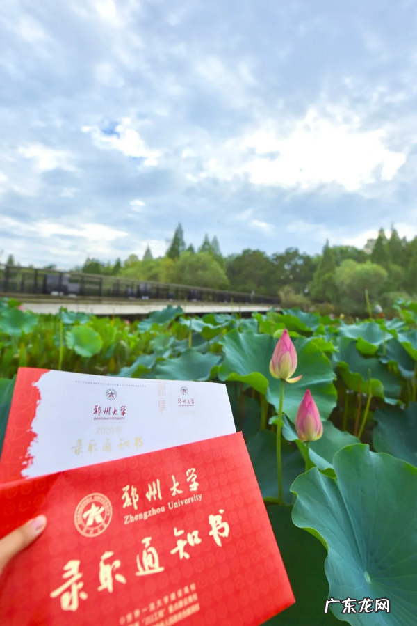 郑州大学2020录取分数线预测 郑州大学2020录取分数线表