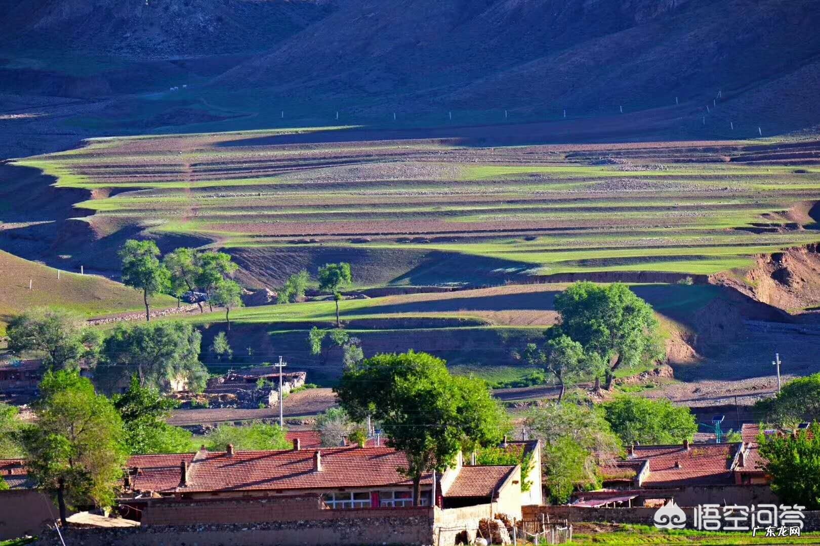 可以介绍和分享一下你家乡的春天美景么？