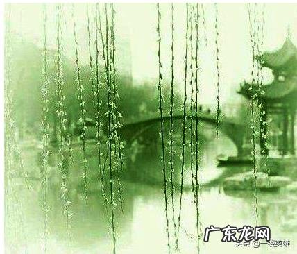 《咏柳》这首诗描写的是什么?春天里什么的样子?