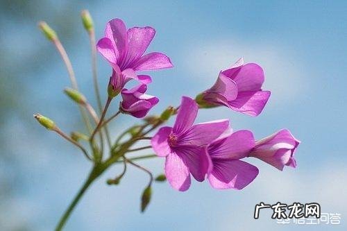 你最喜欢的一句微信签名是什么?