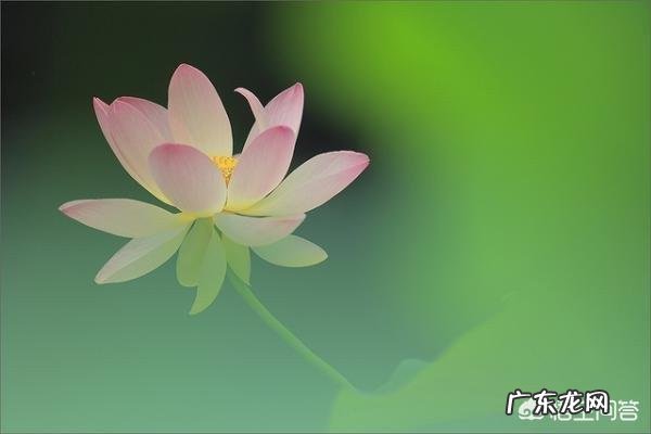 你最喜欢的一句微信签名是什么?