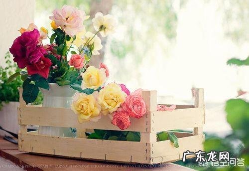 你最喜欢的一句微信签名是什么?