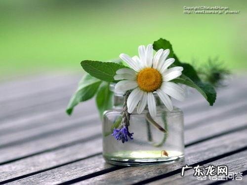 你最喜欢的一句微信签名是什么?