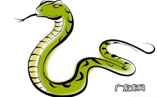 属蛇的招财风景图片女 蛇女最好风水图片大全