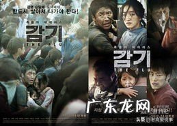 如果地球上的老鼠全部灭绝会怎样？