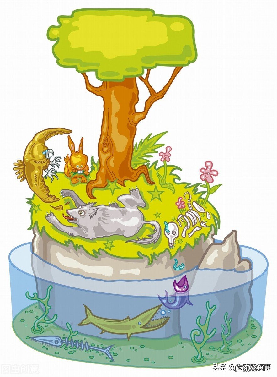 如果地球上的老鼠全部灭绝会怎样?