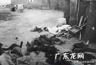 如果地球上的老鼠全部灭绝会怎样？