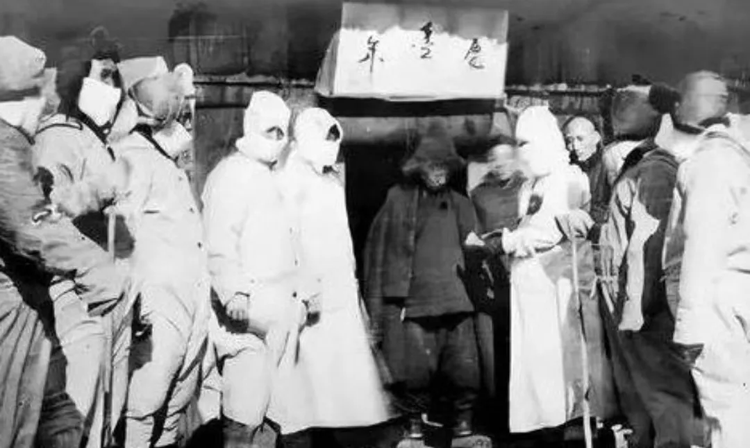 如果地球上的老鼠全部灭绝会怎样？