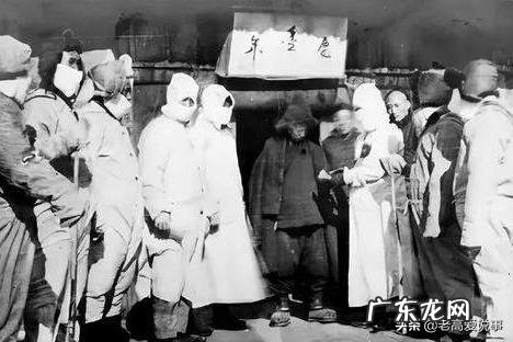 如果地球上的老鼠全部灭绝会怎样？