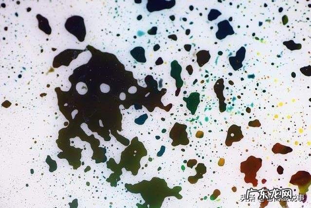 如果地球上的老鼠全部灭绝会怎样？