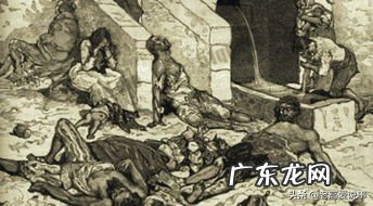 如果地球上的老鼠全部灭绝会怎样？