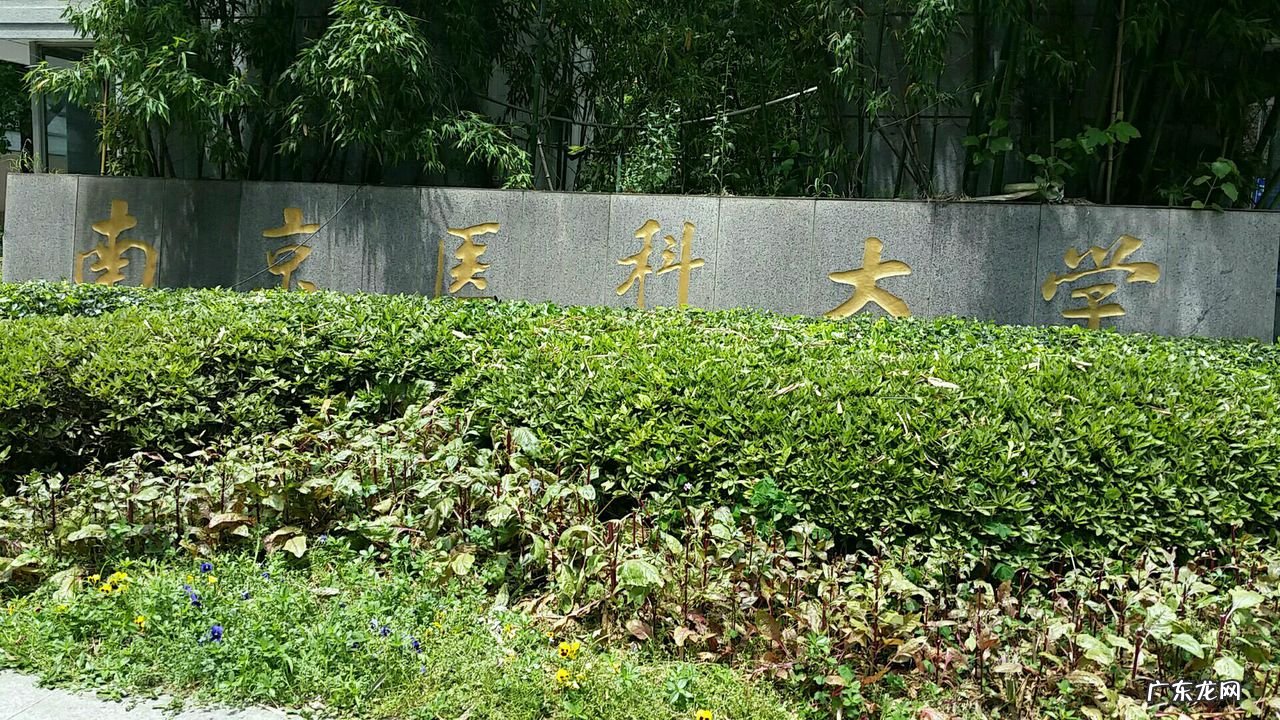 南京医科大学是985 南京医科大学咋样