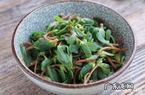 马齿苋什么时候就不能吃了？