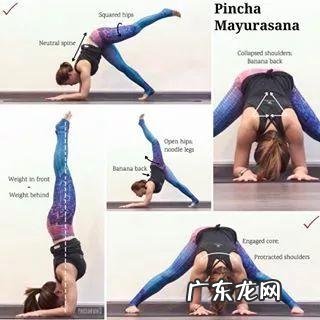 什么健身动作减脂效果最好?