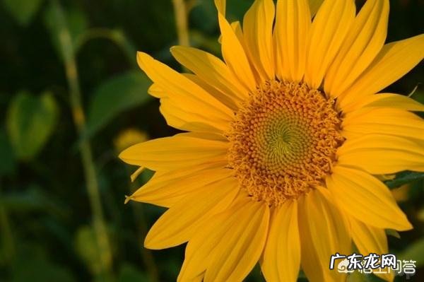 有哪些2018朋友圈最火的说说句子?