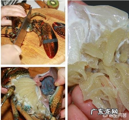波士顿龙虾和澳洲龙虾怎么区分?蒜蓉粉丝蒸龙虾怎么制作?