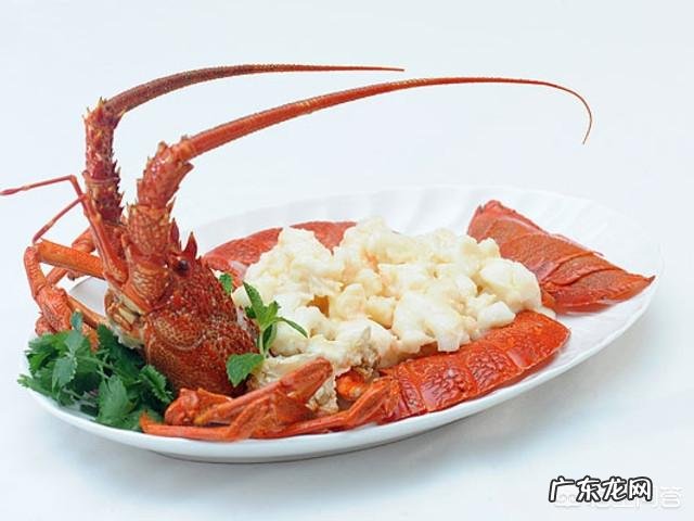 波士顿龙虾和澳洲龙虾怎么区分?蒜蓉粉丝蒸龙虾怎么制作?