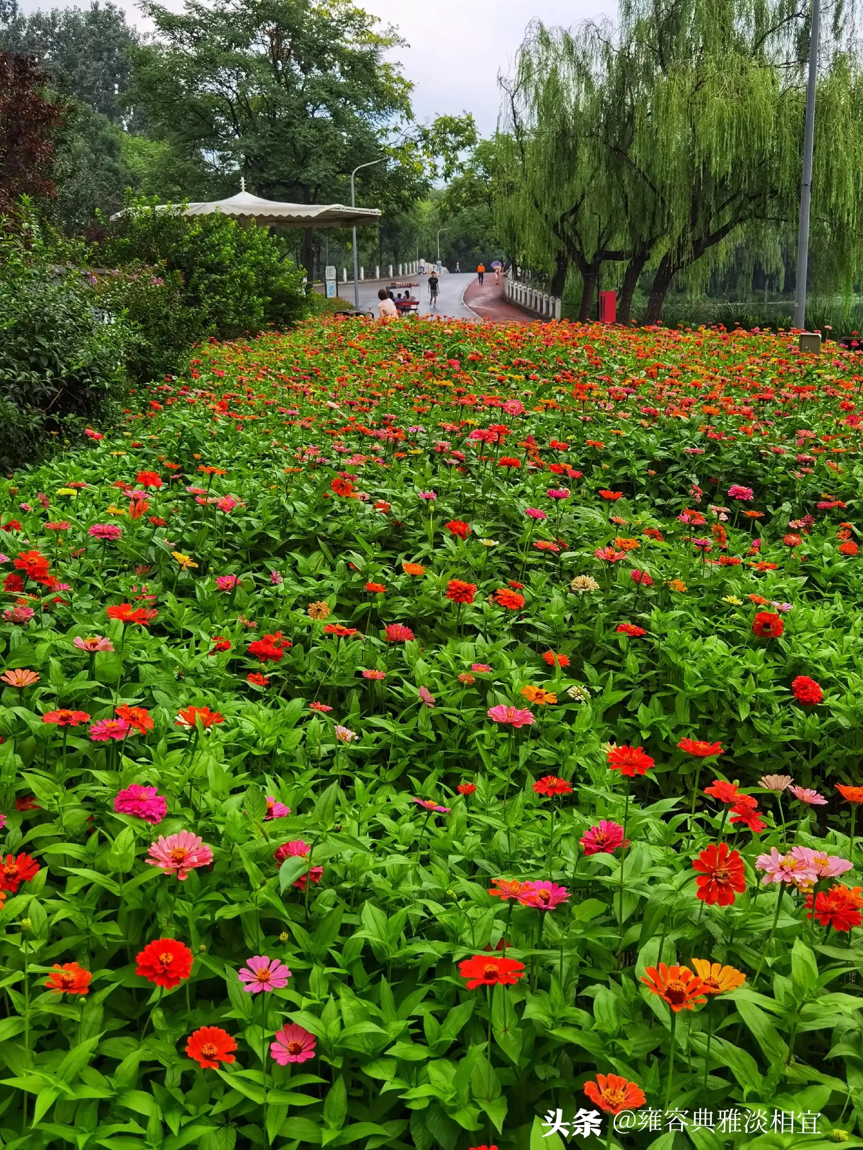 分享一下你身边最美的风景?