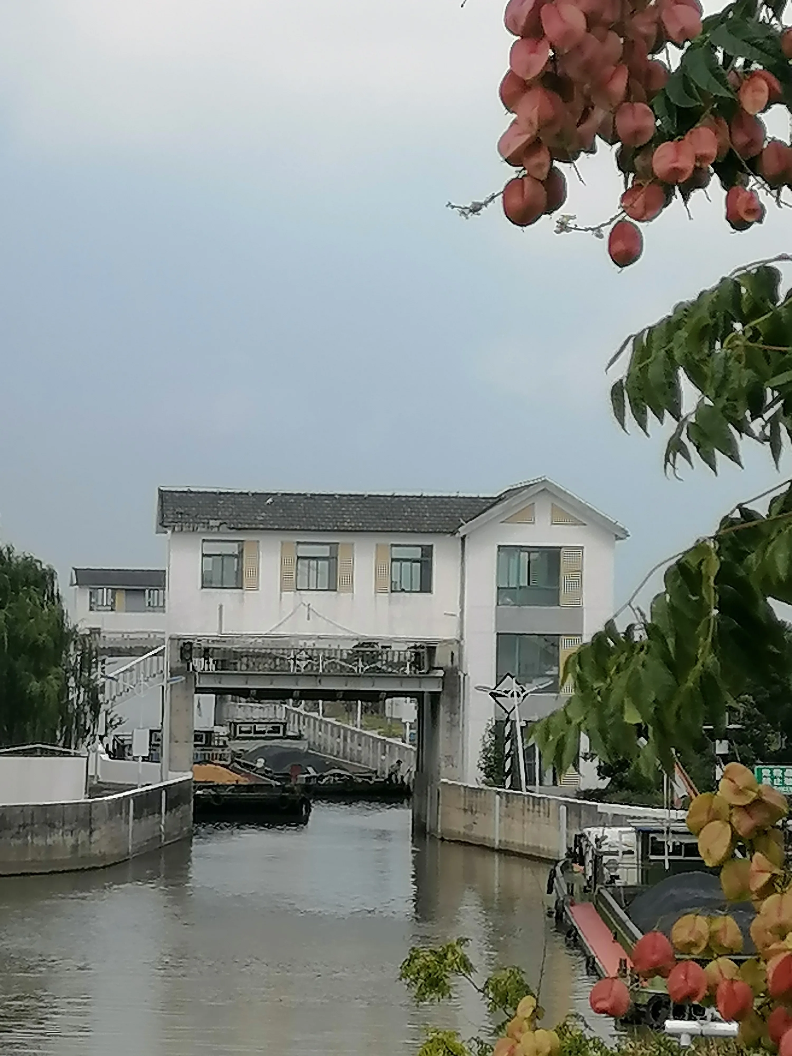 分享一下你身边最美的风景?