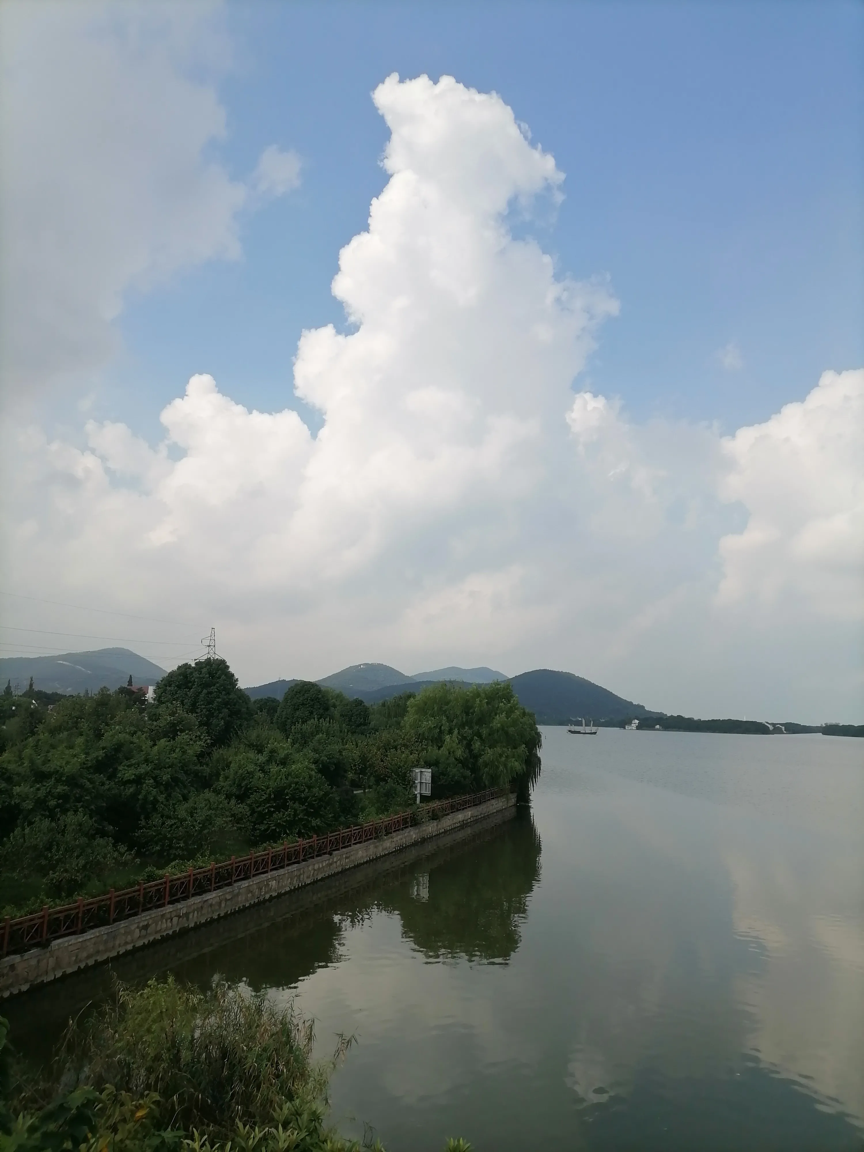 分享一下你身边最美的风景?