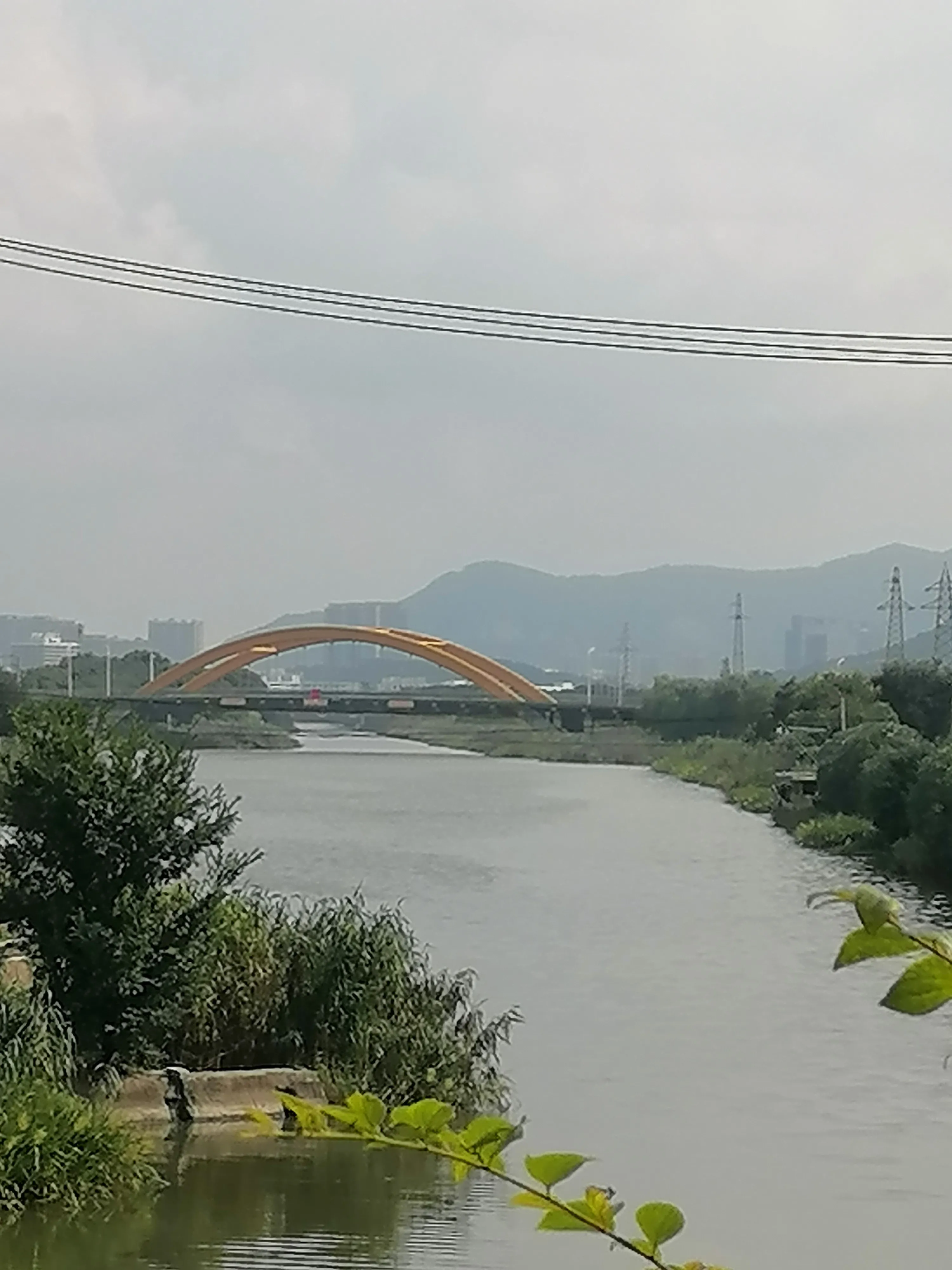 分享一下你身边最美的风景?