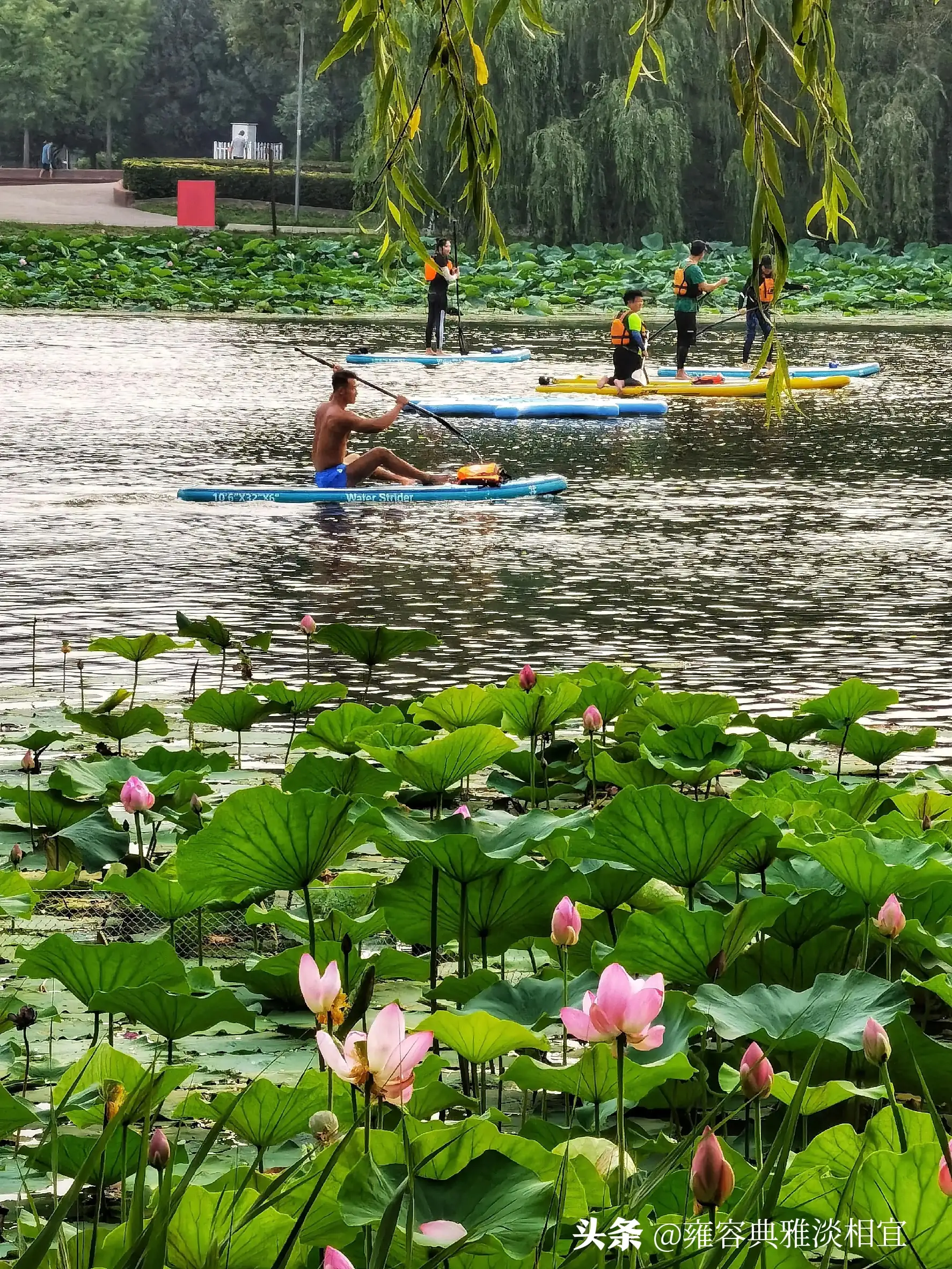 分享一下你身边最美的风景?