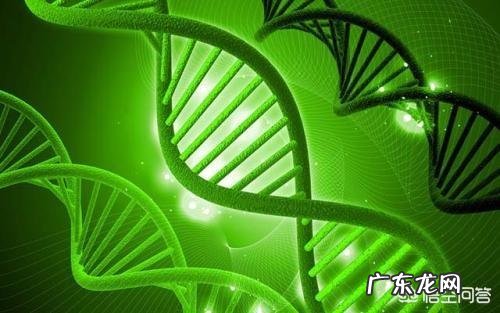 高中数学学习，据说，是高中理科生公认的最坑爹学科之一。你怎么看？