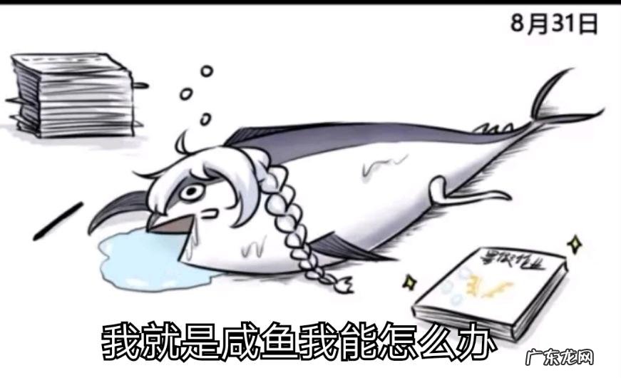 平时办公你都会用到什么办公软件?