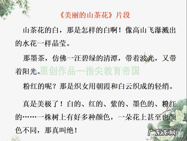 怎样写好植物作文？写什么植物比较好？