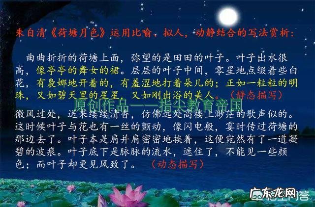 怎样写好植物作文？写什么植物比较好？