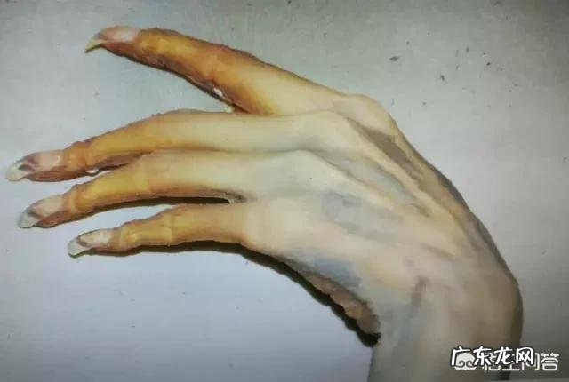 《尸体变化图鉴》算不算国内对尸体最为精细,详细的解析和理解?