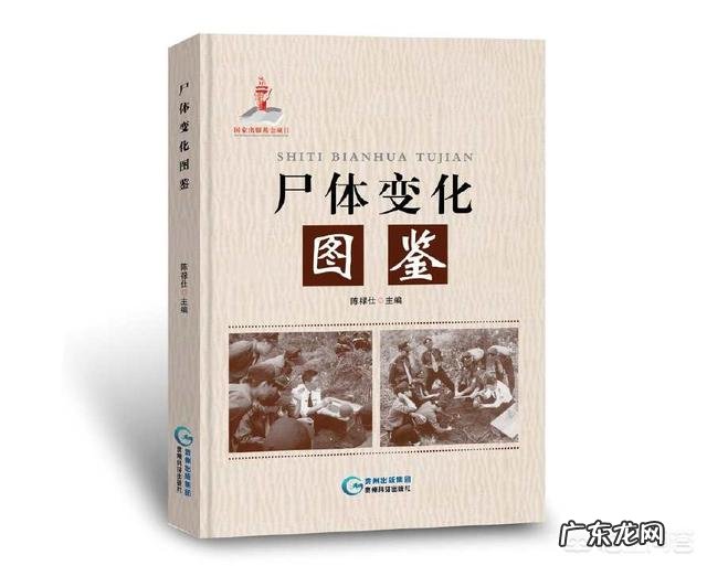 《尸体变化图鉴》算不算国内对尸体最为精细,详细的解析和理解?