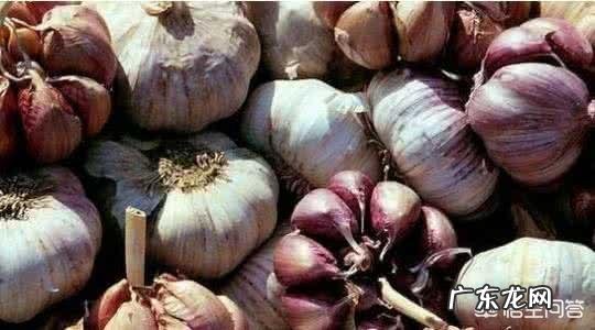 大蒜泡酒真有神奇功效吗?