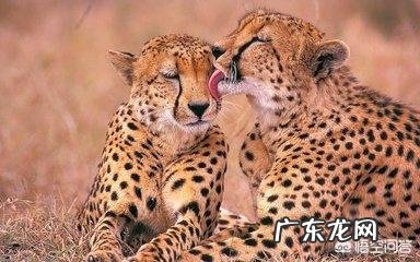 如何评价“爱了就在一起，不爱了就分开，当断不断，反受其乱”这句话？