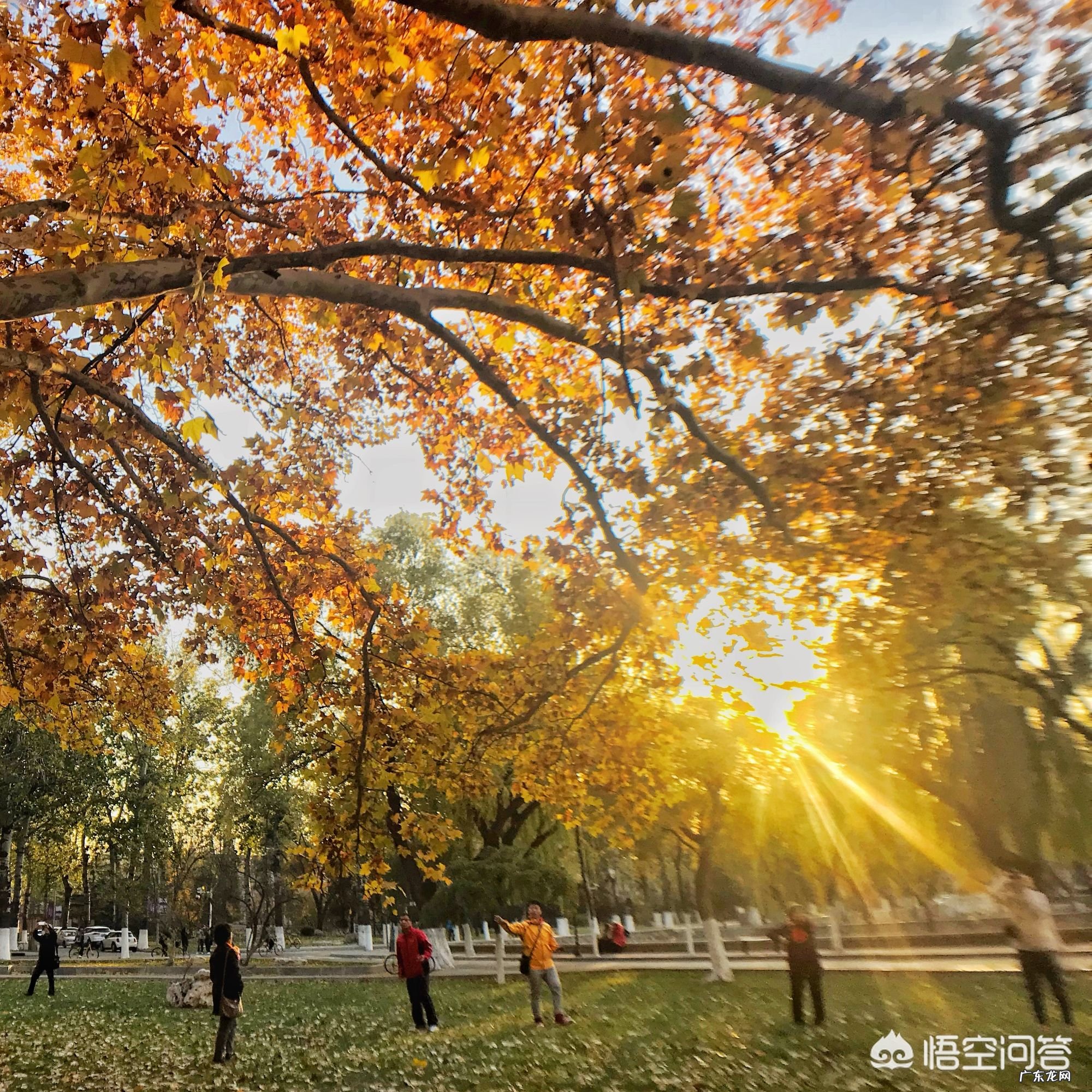 如何用摄影作品表现“一抹阳光”?